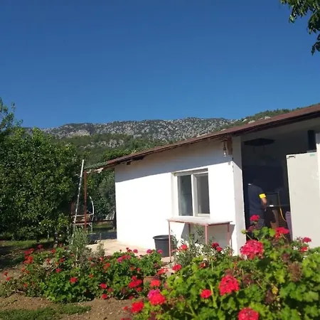 Gold Altinkaya Homestay Kemer